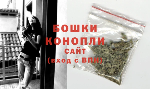 дмт Мегион