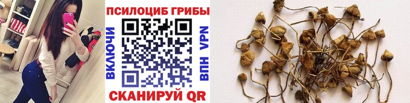 Псилоцибиновые грибы Magic Shrooms  магазин    Конаково 
