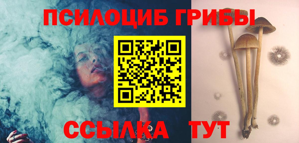 Конаково  Псилоцибиновые грибы Psilocybine cubensis  Вход с VPN 