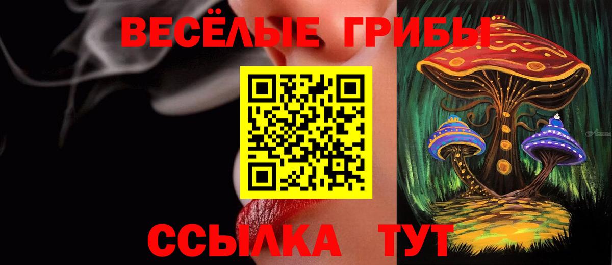 Галлюциногенные грибы Cubensis Конаково