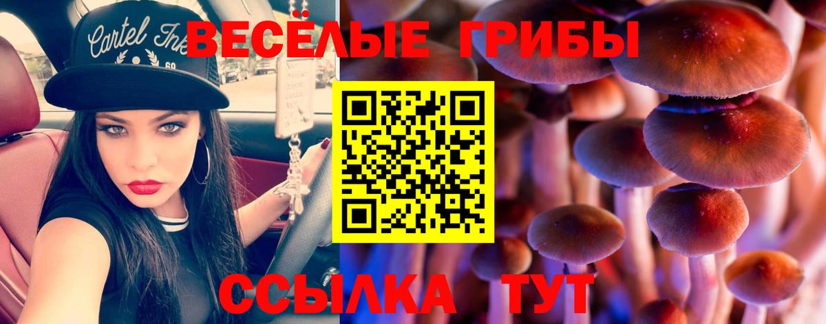 Галлюциногенные грибы Magic Shrooms  Конаково 